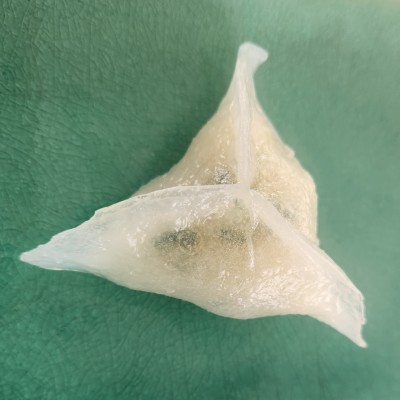 Prawn and Spinach Dumpling