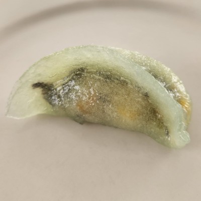 Vegetable Treasures Dumpling